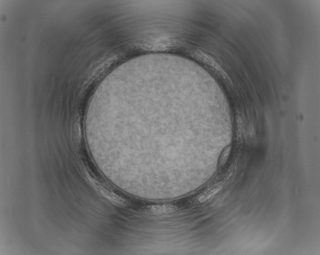 X0000072990541200608211518