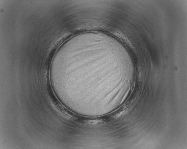 X0000072990542200608211518