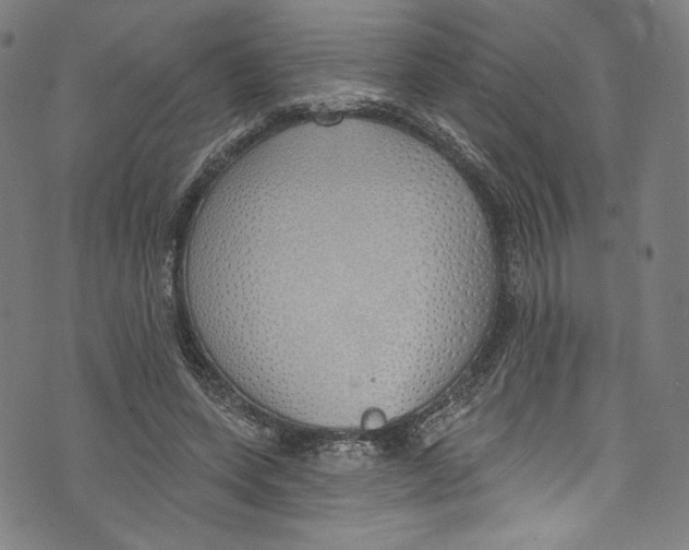 X0000072990543200608211518