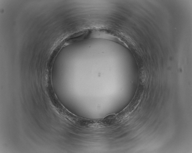 X0000072990544200608211518