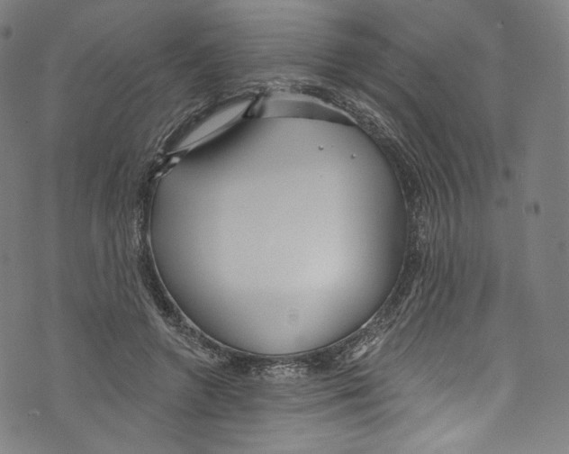 X0000072990546200608211518