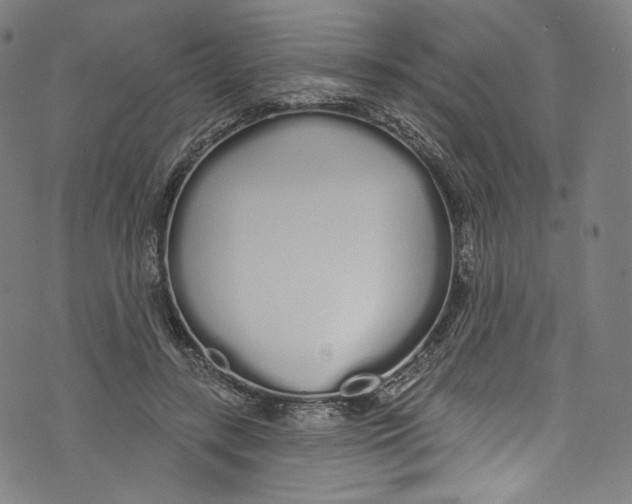 X0000072990547200608211518