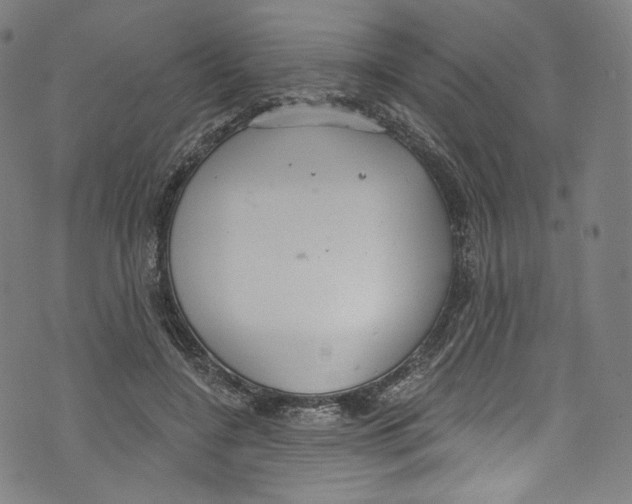 X0000072990548200608211518