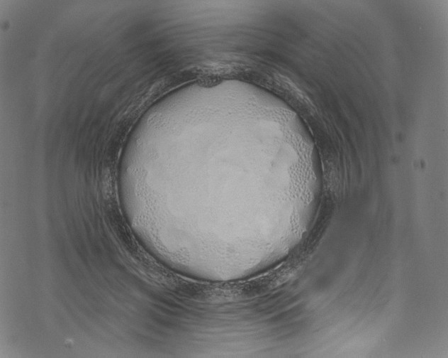 X0000072990549200608211518