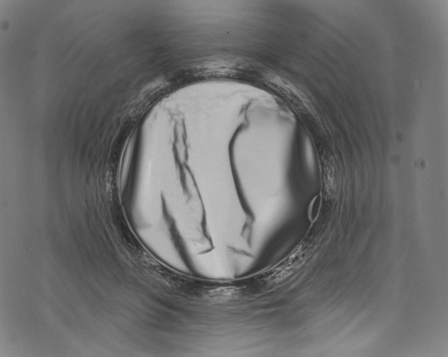 X0000072990551200608211518