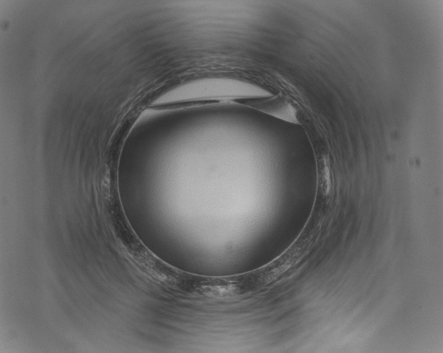 X0000072990552200608211518