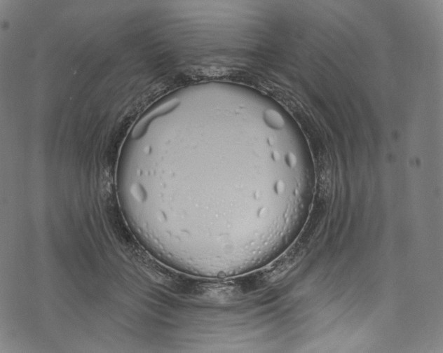 X0000072990555200608211518