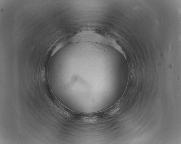 X0000072990556200608211518