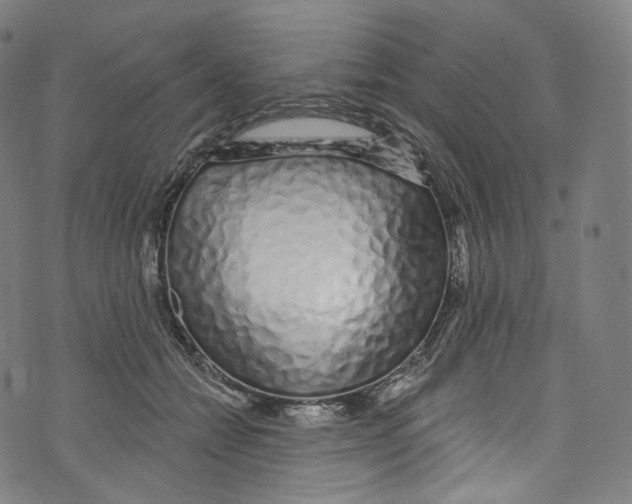 X0000072990558200608211519