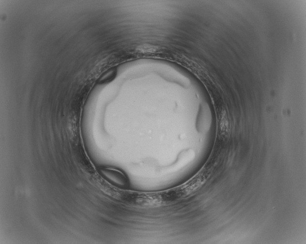 X0000072990559200608211519