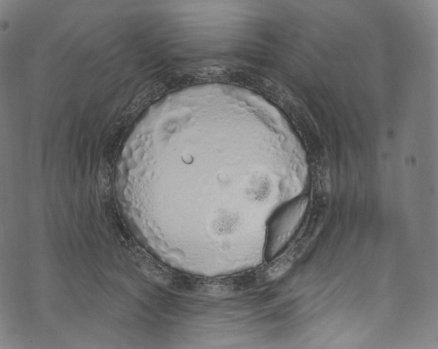 X0000072990561200608211519