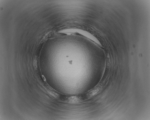 X0000072990562200608211519