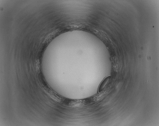 X0000072990563200608211519