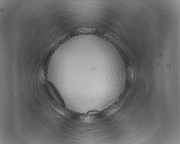 X0000072990564200608211519