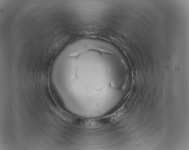 X0000072990568200608211519