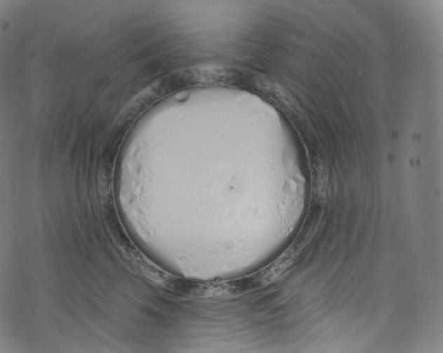 X0000072990569200608211519