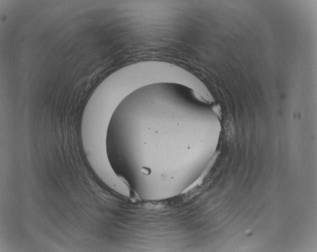 X0000072990570200608211519