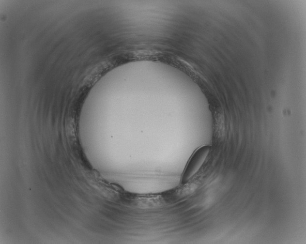 X0000072990571200608211519