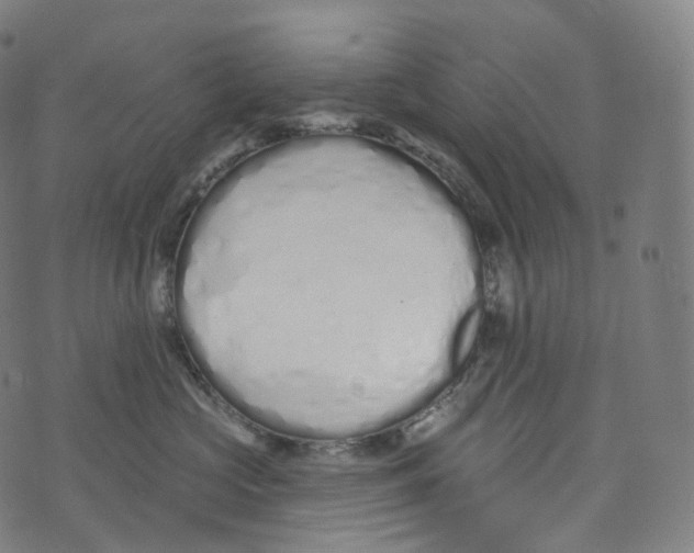 X0000072990573200608211519