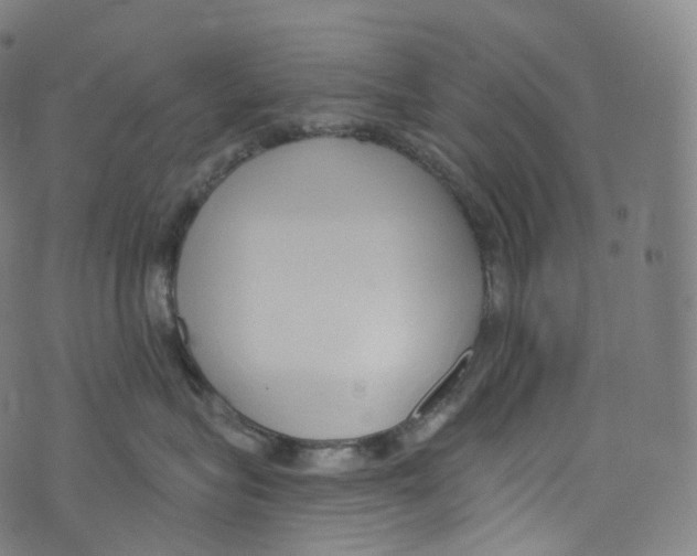 X0000072990575200608211519