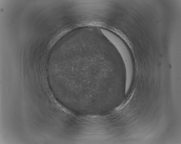 X0000072990577200608211518