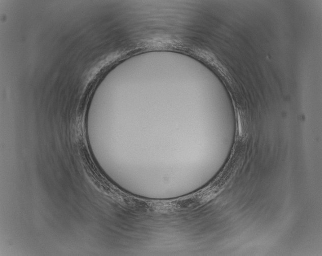 X0000072990579200608211518