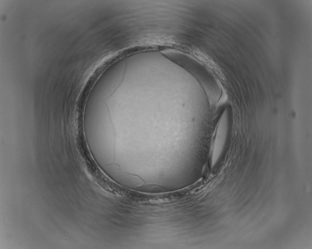 X0000072990580200608211518