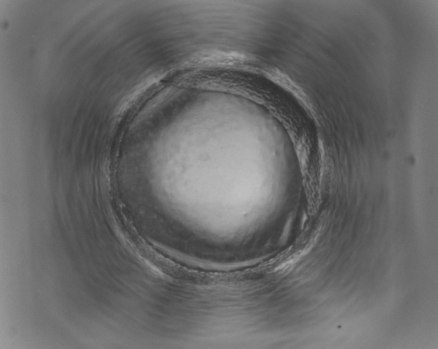 X0000072990581200608211518