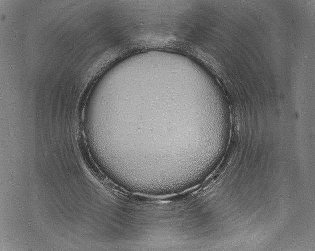 X0000072990582200608211518