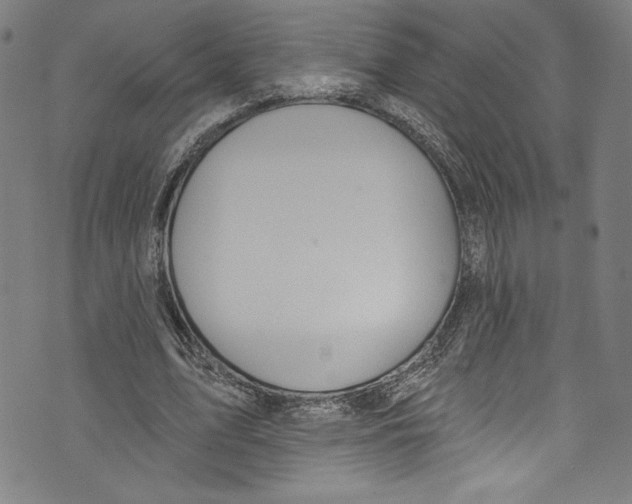 X0000072990583200608211518