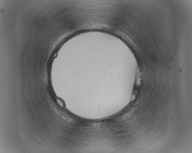 X0000072990584200608211518