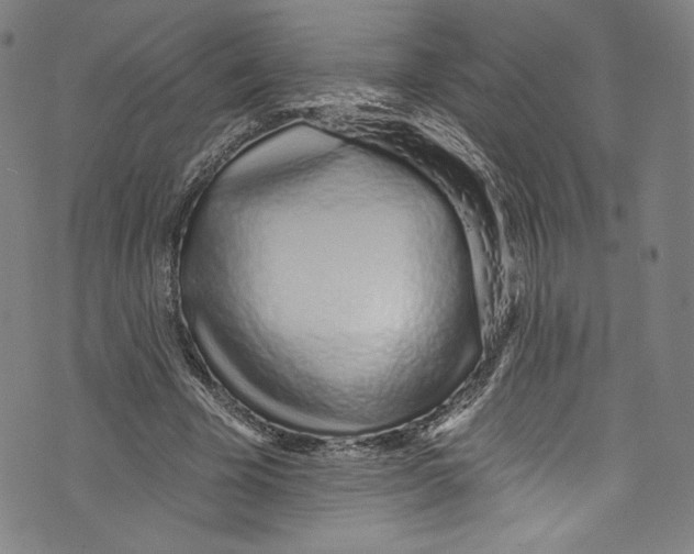 X0000072990585200608211518