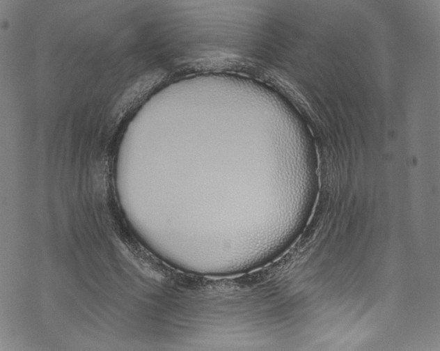 X0000072990586200608211518