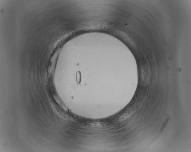 X0000072990588200608211518