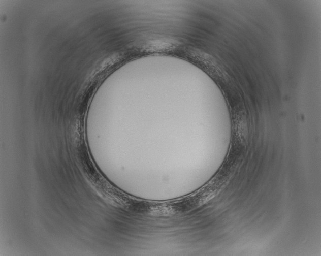 X0000072990591200608211518