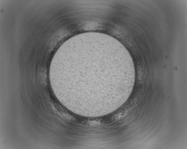 X0000072990592200608211518