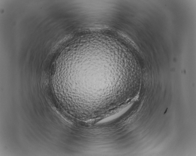 X0000072990593200608211518