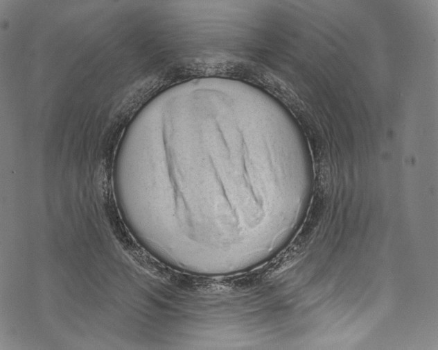 X0000072990594200608211518