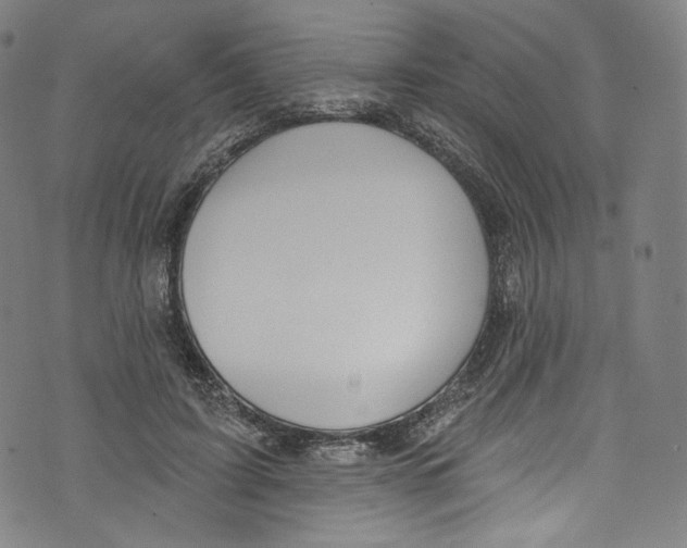 X0000072990595200608211518