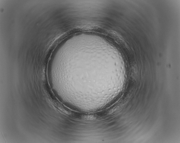 X0000072990596200608211518