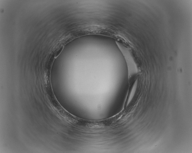 X0000072990597200608211518