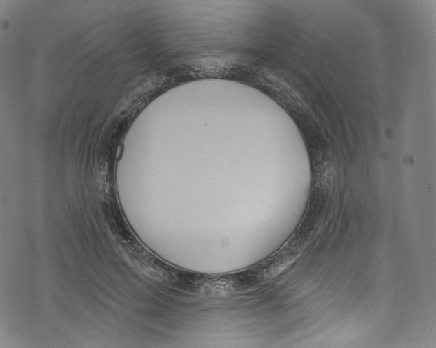 X0000072990599200608211518