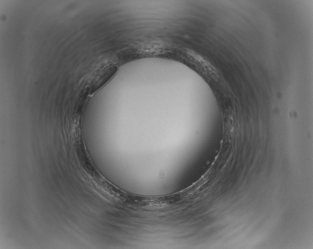 X0000072990601200608211518