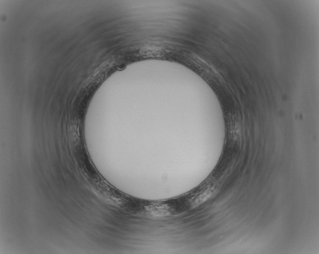 X0000072990603200608211518