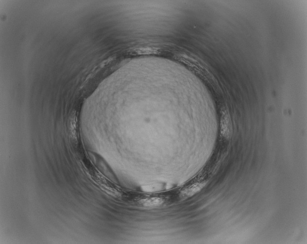 X0000072990604200608211518