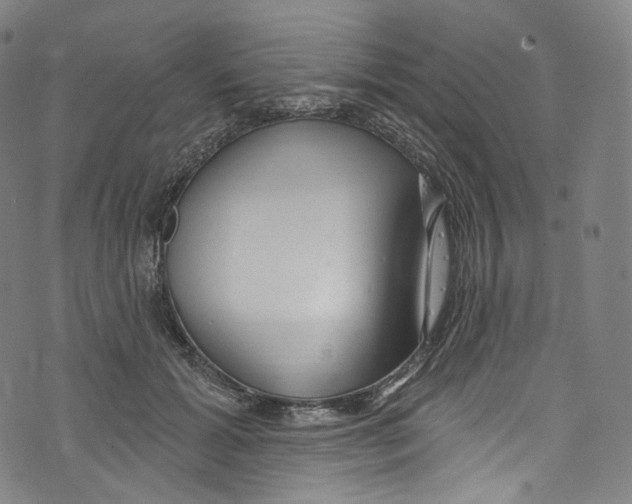 X0000072990605200608211518