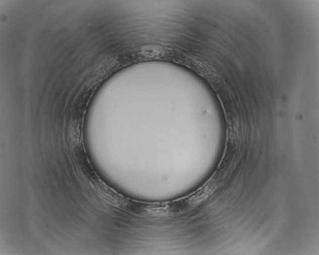 X0000072990606200608211518