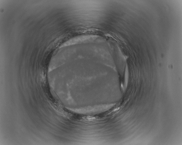 X0000072990607200608211518