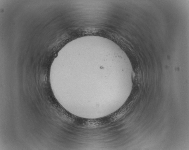 X0000072990608200608211517