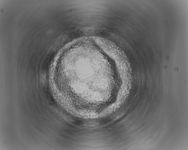 X0000072990610200608211517